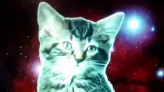 Песня котят