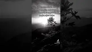 Tuğçe Tayfur Çiçekler açsın