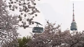 Seoul, South Korea - The  Parks