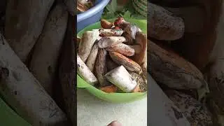 Добрый день друзья! Сегодня в рубрике #Грибы#