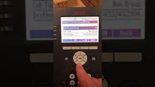 Call Forward - Avaya 9608 - IP Office