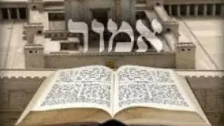 פרשת אמור  - שנים מקרא ואחד תרגום