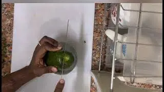 Lunchtime salad. Салат на обед!!!