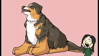 I Like Big Bois