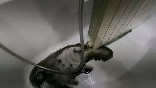 Холодные БАТАРЕИ, Как ИСПРАВИТЬ - Cold HEATING RADIATORS, How to fix them