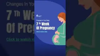 Baby at 7 weeks | Changes in your baby during the 7th week of pregnancy | Dr Supriya Puranik