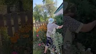 Песня под гармонь.,,Юрий Старцев,,Две капельки,,Минская область,деревня Толкачевичи