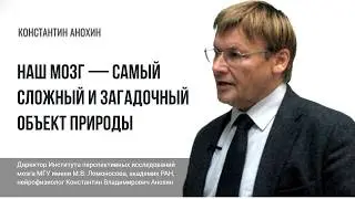 Искусственный интеллект и мозг. Константин Анохин