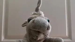 Big Brain Time