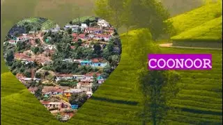 Coonoor | Dolphin's nose | Sim's Park | Catherine Waterfalls | Coonoor Sightseeing | #coonoor #ooty