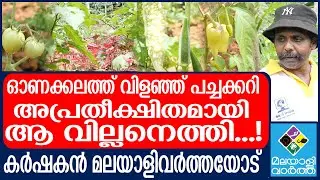 Vilappilsala agriculture കൃഷിയിടത്തിൽ സംഭവിക്കുന്നത്
