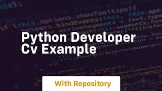 python developer cv example