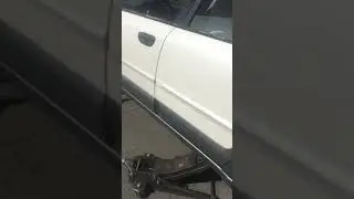 2002 Saburu stolen cat