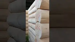 Дома и бани из круглого леса - все виды рубки
