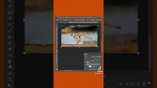 3 Quickest Ways To Auto Select Objects In Photoshop 