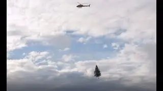 Helicopter Christmas Tree for Hythe