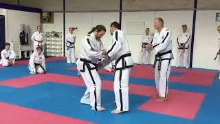 Hwa-Rang - teaching points for movement number 11 by Grand Master Cutler and Grand Master O'Neill.
