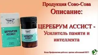 ОПИСАНИЕ   ЦЕРЕБРУМ АССИСТ — Усилитель памяти и интеллекта