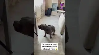 4 января 2024 г.