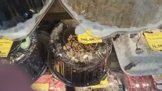 ням ням🥳🥳🥳🥳🥳