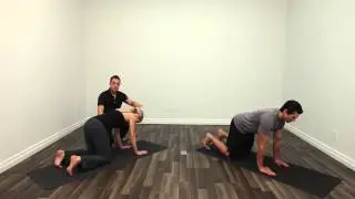 Reduce low back injuries with the quadruped cat and camel