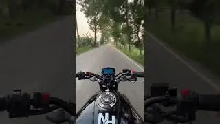 MSN /#shorts #subscribe #foryou #shortvideo #viral #tiktok