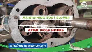 How to Maintain Your Root Blower: Essential Tips for Peak Performance