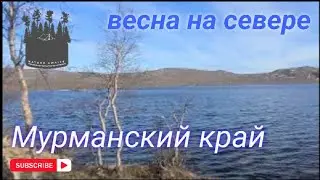Природа крайнего севера. Весна.