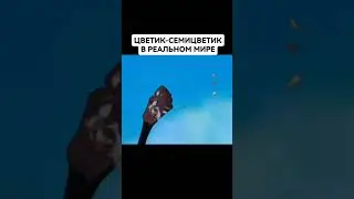 Цветик семицветик vs The Lion King #юмор #угар #переозвучка