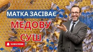 Матка засіває медову суш. Відповідь коментатору.