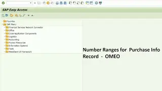 PIR #1 How to create Number ranges for Purchase info record in sap MM