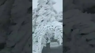 Я очень стараюсь Не ждать....