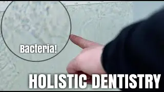 What is Holistic Dentistry?