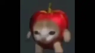 Walking Apple Cat
