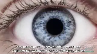 עדשות מגע וואן די אקיוביו מויסט מולטיפוקל הגיעו לישראל! מבט על הטכנולוגיה