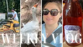 We all got sick | New chicken coops | Aldi finds
