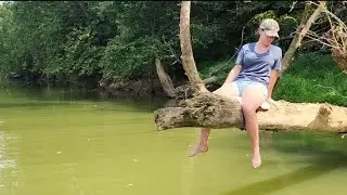 Out On a Limb
