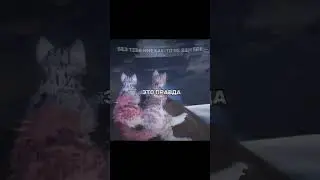 белый лимузин) @Furina_krashixa_.  #youtube #youtubeshorts #trend #roblox #warriorcats
