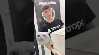 Las consolas están bien… pero Nitropc es otro rollo. 🚀 