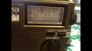 Degen DE-1103&Tecsun Green 88(12.025 kHz Radio Liberty)