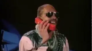Stevie Wonder - I Just Called To Say I Love You (Music Video)