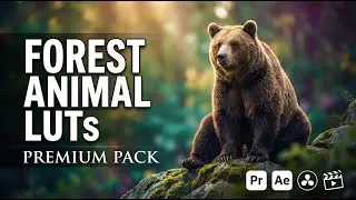 Wildlife Forest Animal LUTs Pack 🌲🦌🎞️ | Cinematic Color Grading for Nature & Wildlife Videos