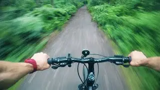 Bike Ride Forest