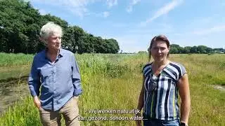 Natuurontwikkeling in waterberging Gasthuisweidje