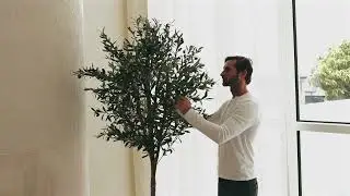 Artificial Olive Tree By The Plant Factory - Designer Faux Plants