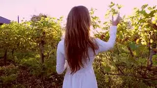 Абхазия Путешествие к виноградникам.