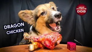 ASMR Mukbang Chicken Thighs 🍗 Corgi Dog Eating 3 🐕