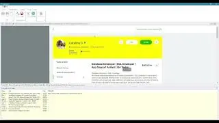 UpWork Scraper - Scraping freelancer name, details, profile URL etc. | WebHarvy