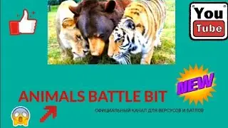 Я ВЕРНУЛСЯ!Коротко о том какой вы хотите следующий батл!