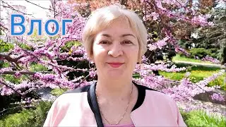 Еду к дочке на Пасху/ Площадь К. Маркса/ Сакура цветет/ Влог 